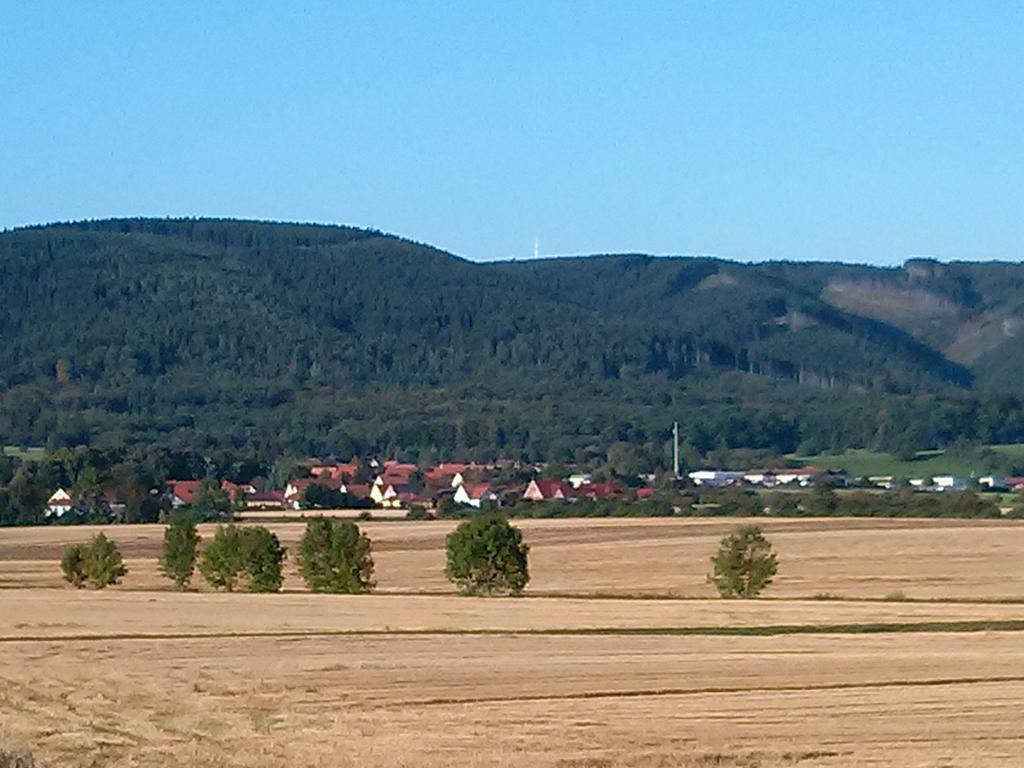 Ferienwohnung Osterbrink Ilsenburg Zewnętrze zdjęcie